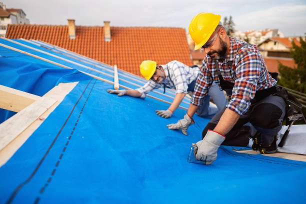 Best Gutter Installation and Repair  in Quinlan, TX