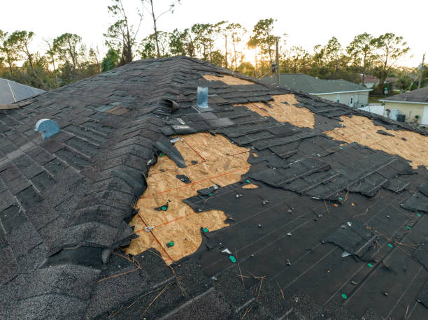 Best Roof Maintenance and Cleaning  in Quinlan, TX